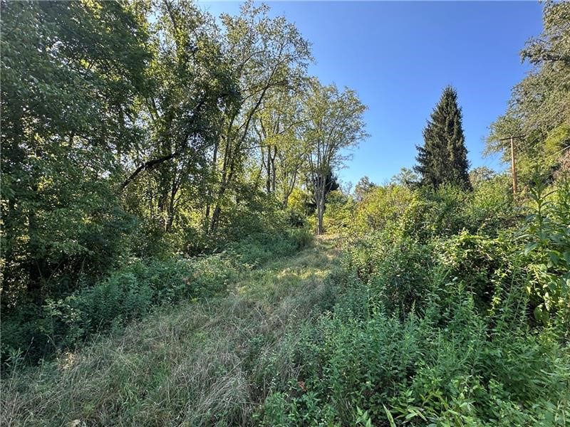 1441 Leckrone Masontown Road — photo 4
