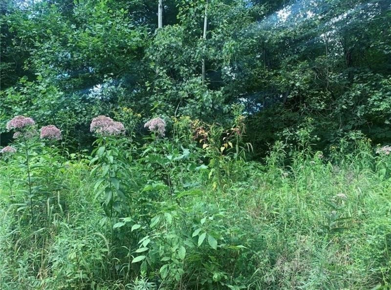 Lot 2b & 4 Vickerman Rd — photo 1