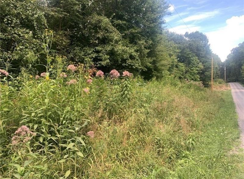 Lot 2b & 4 Vickerman Rd — photo 3
