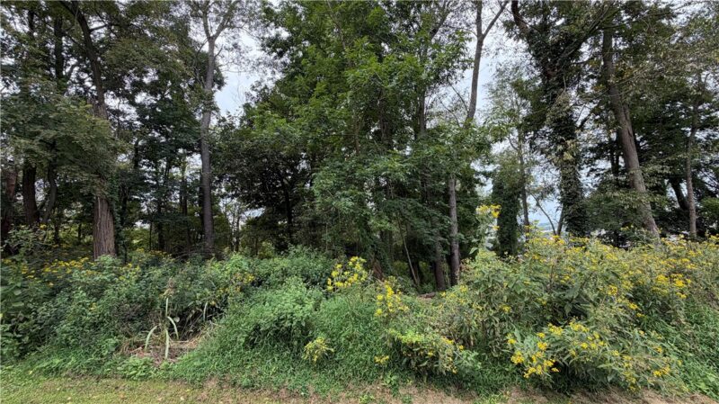 0 West McMurray — photo 2