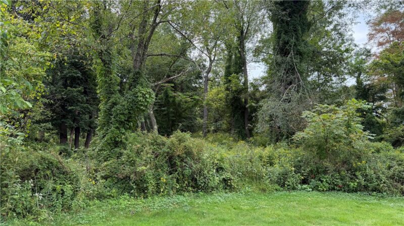 0 West McMurray — photo 4