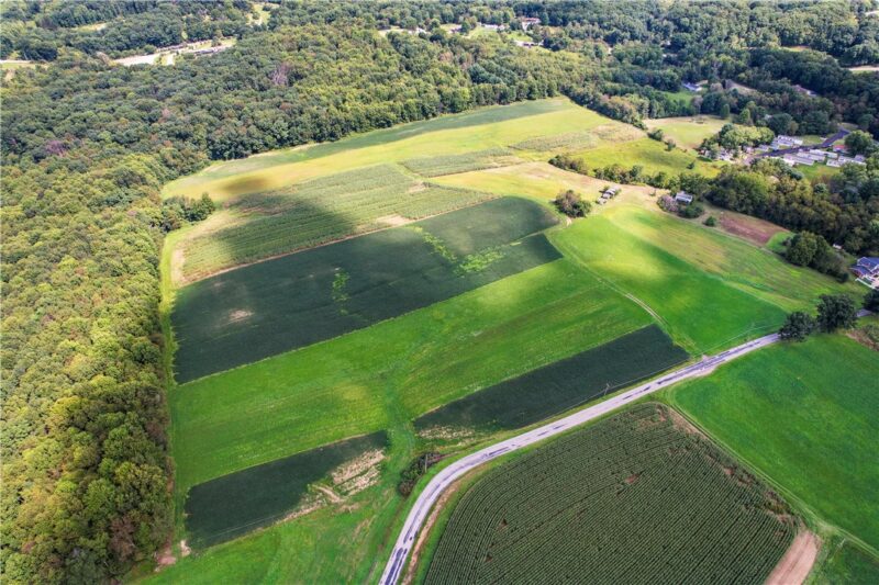 160 Steele School Rd — photo 2