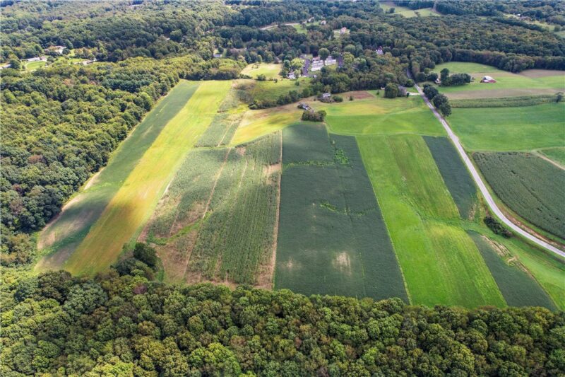 160 Steele School Rd — photo 3