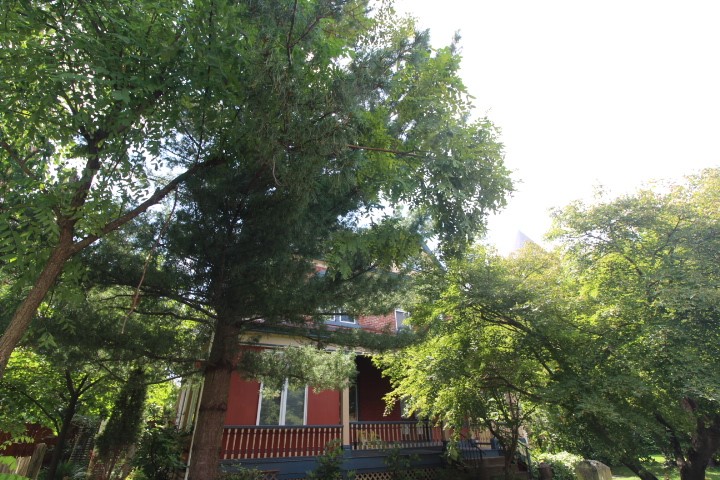 5546 Hays St — photo 1