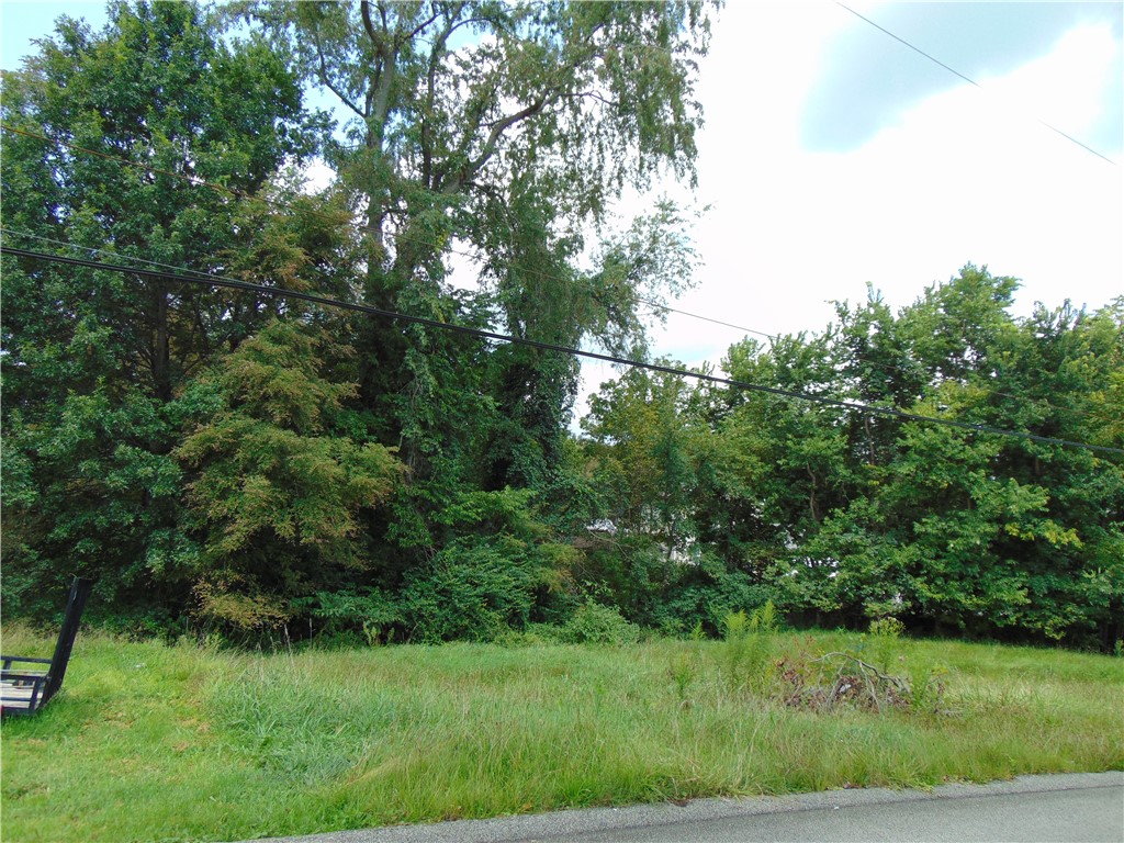 1021 Monongahela St — photo 1
