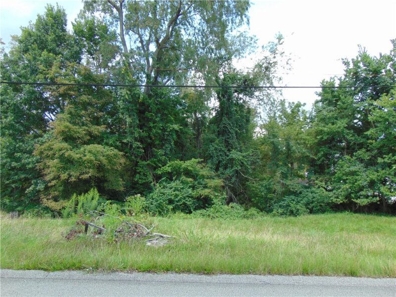 1021 Monongahela St — photo 2