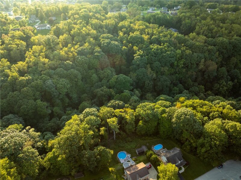 Lot 218 Whitney Chase — photo 2