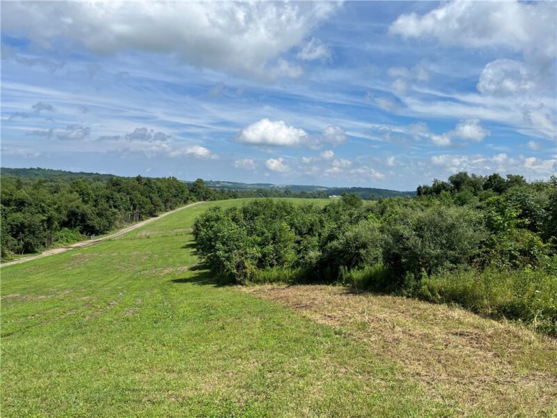 312 Vance Dr — photo 8