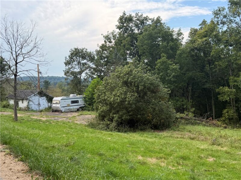 219 Dobbie Ln — photo 3