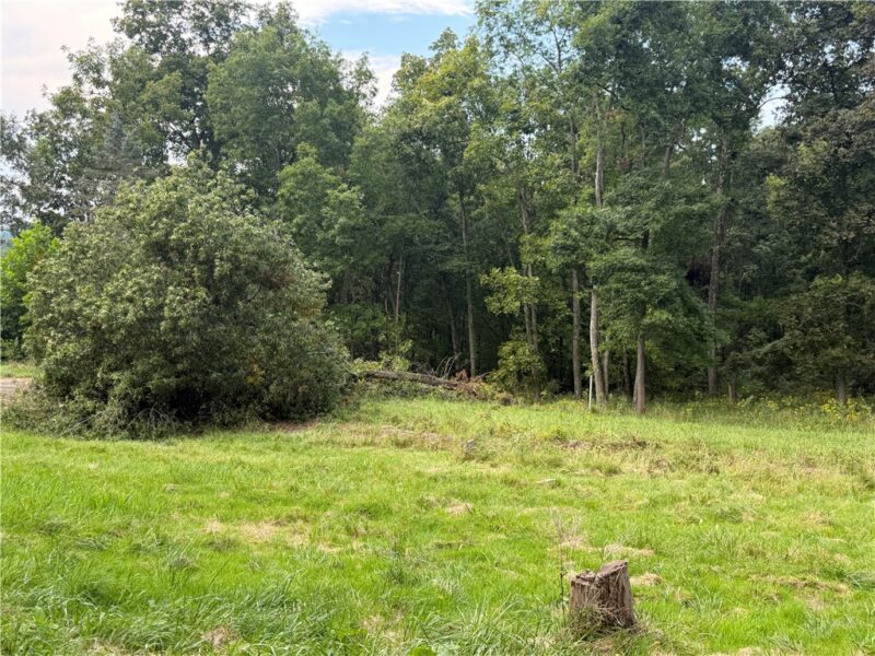 219 Dobbie Ln — photo 4