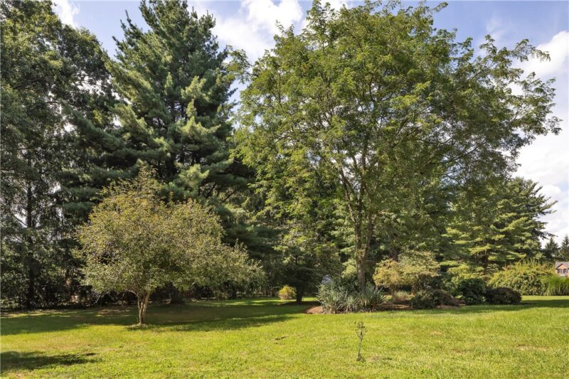 118 Mountain Laurel Dr — photo 5
