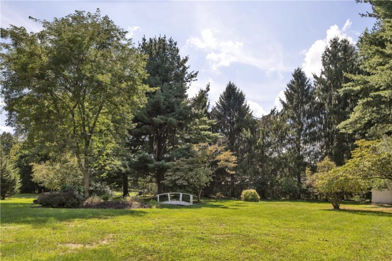 118 Mountain Laurel Dr — photo 8