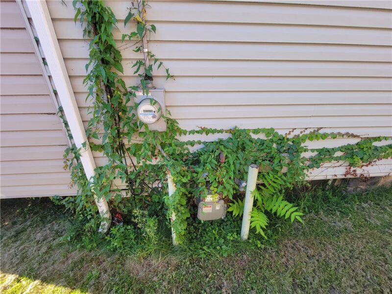 1023 Raspberry St — photo 3