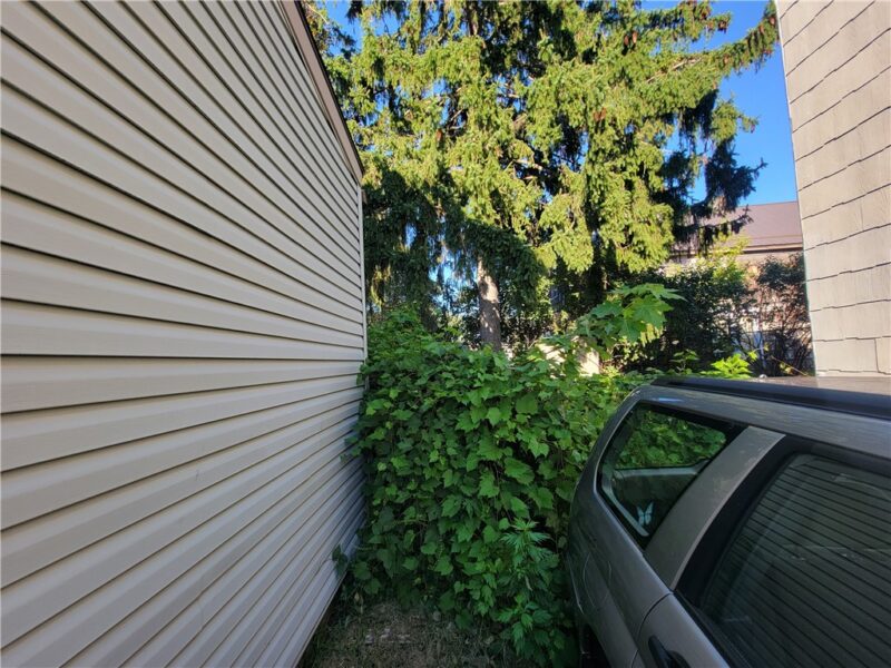 1023 Raspberry St — photo 4