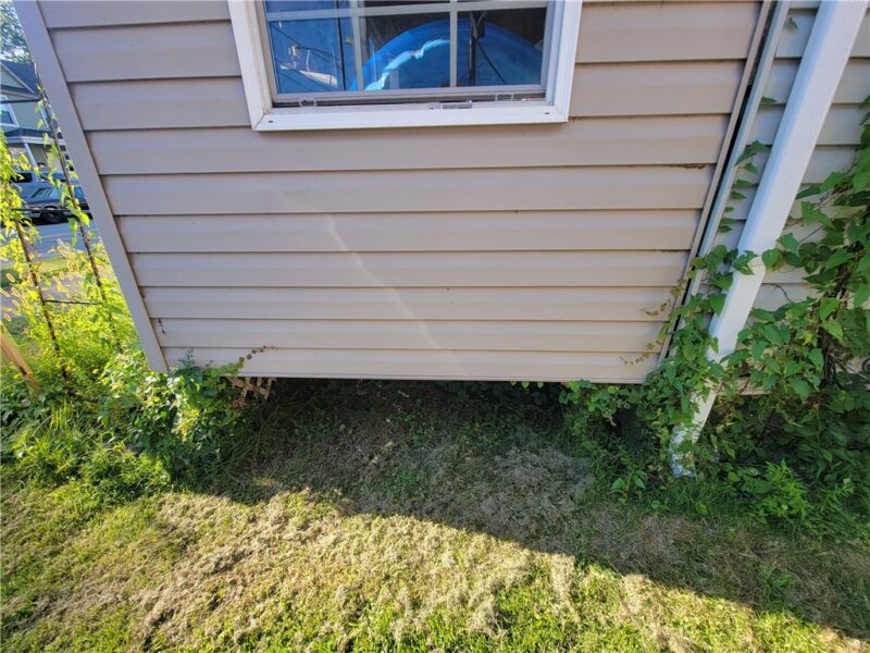 1023 Raspberry St — photo 5