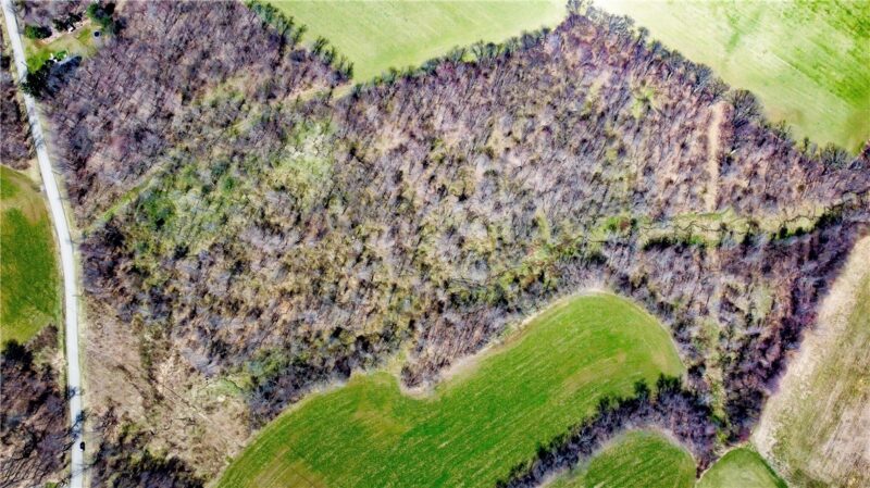 Lot 3 Heller Road — photo 2