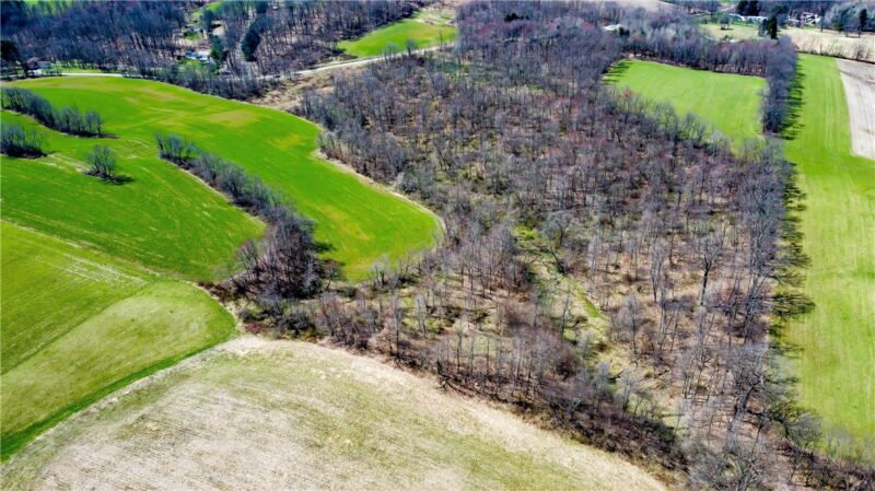 Lot 3 Heller Road — photo 3