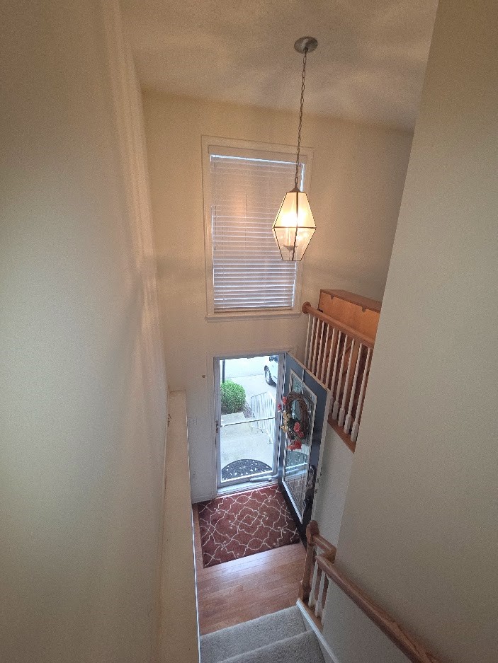 10552 Timber Edge Dr — photo 3