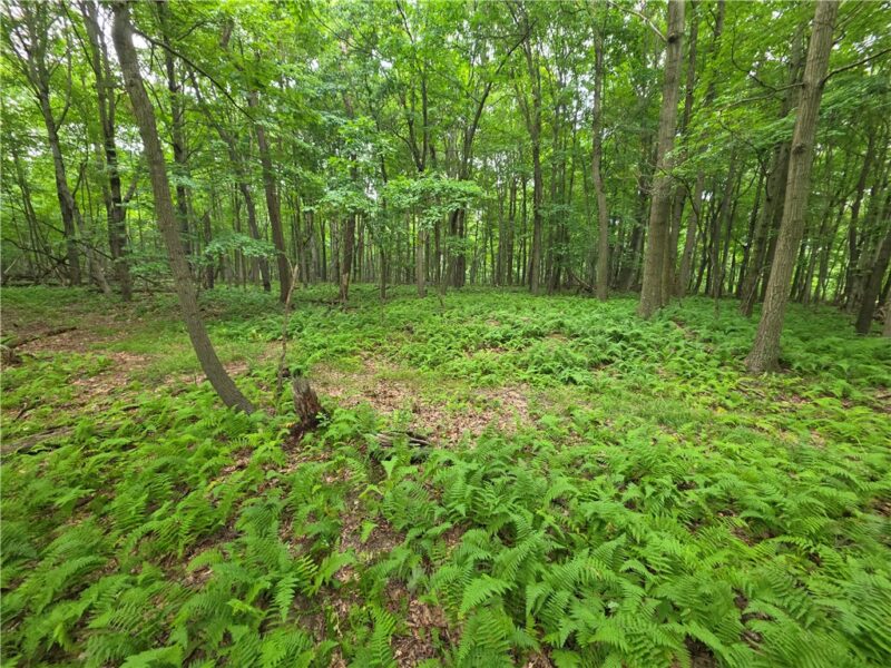 0 Mudlick Hollow Rd — photo 2