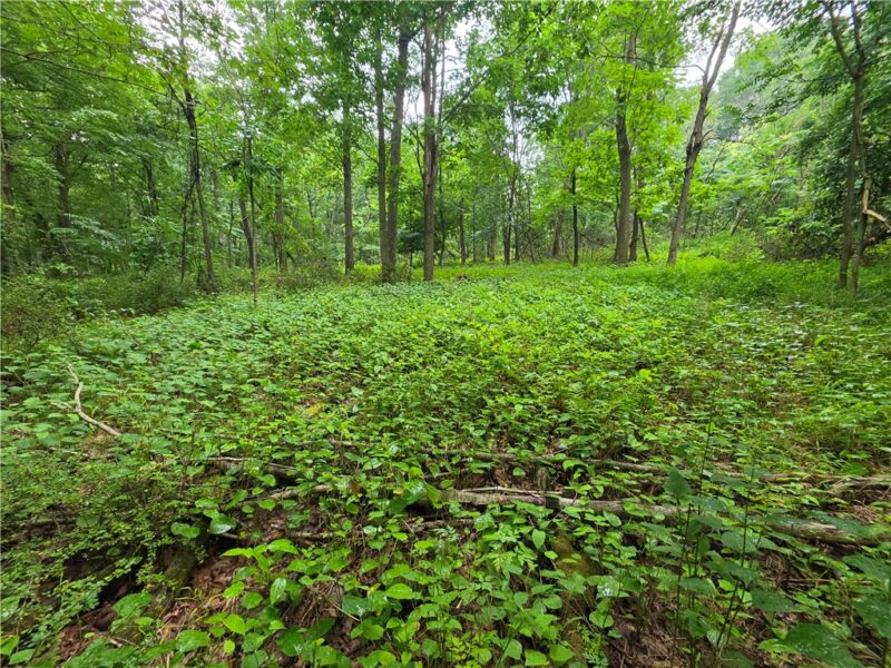 0 Mudlick Hollow Rd — photo 5
