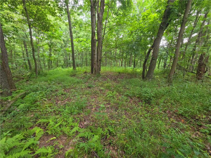 0 Mudlick Hollow Rd — photo 6