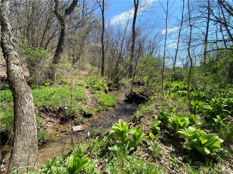 226 Kime Rd — photo 4