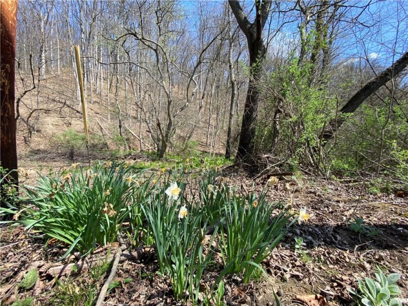 226 Kime Rd — photo 5