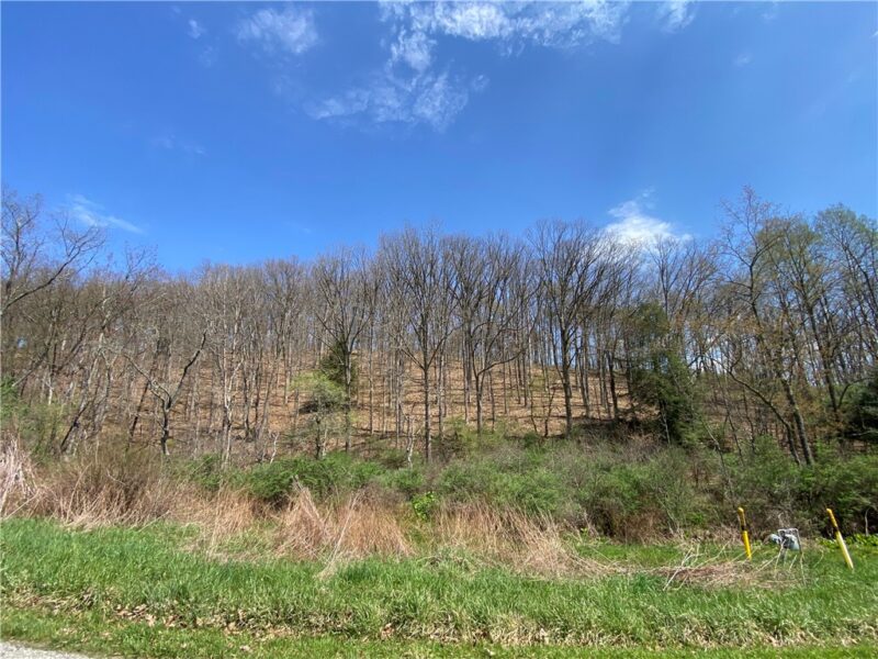226 Kime Rd — photo 7