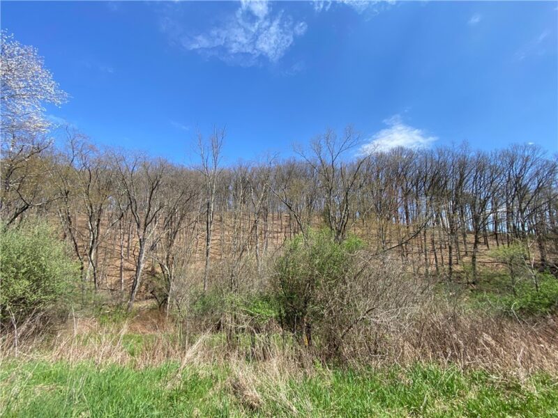 226 Kime Rd — photo 8