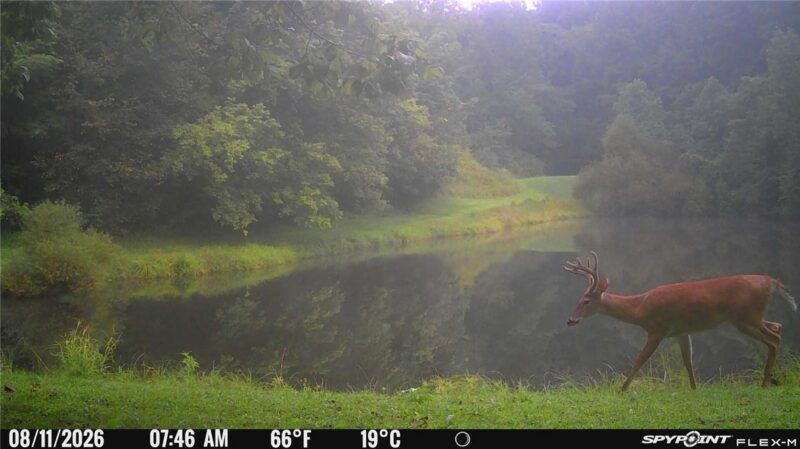 264 Stewart Run Rd — photo 4