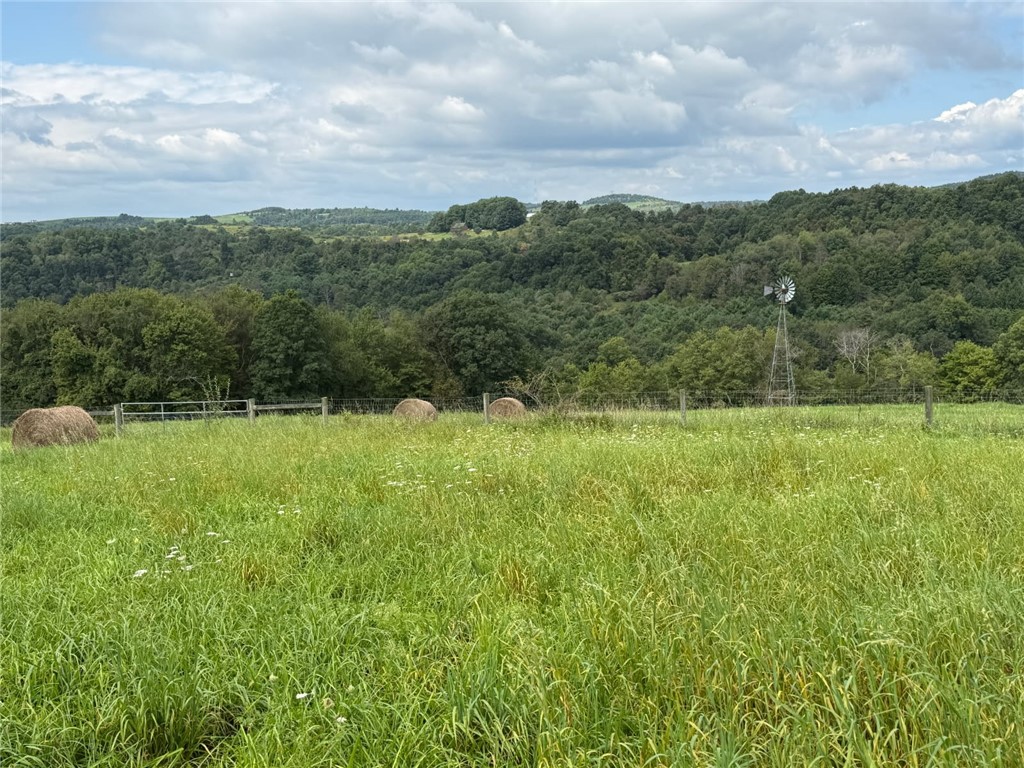 29.5 Acres± along Orchard Road — photo 1
