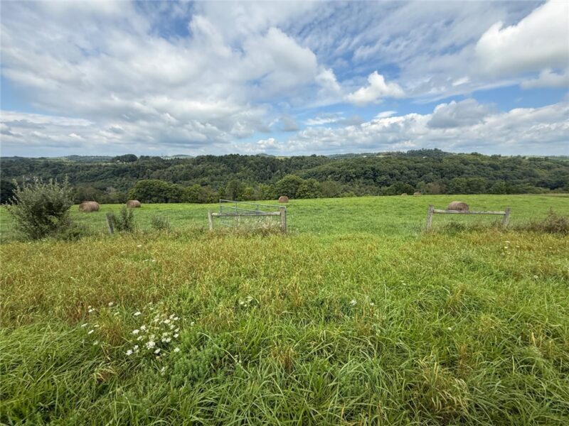 29.5 Acres± along Orchard Road — photo 3
