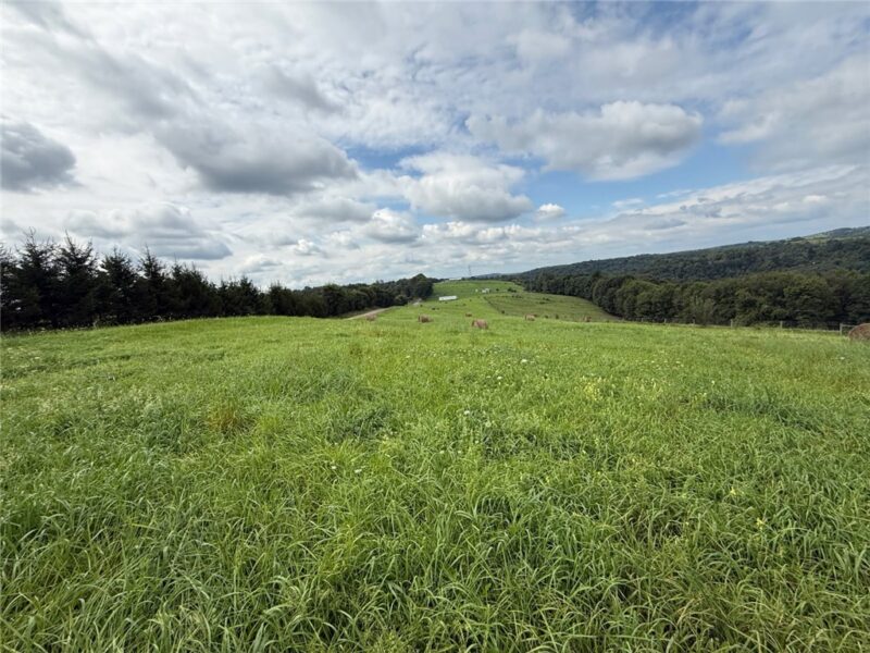 29.5 Acres± along Orchard Road — photo 4