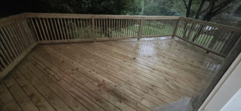 1016 Virginia Way — photo 5
