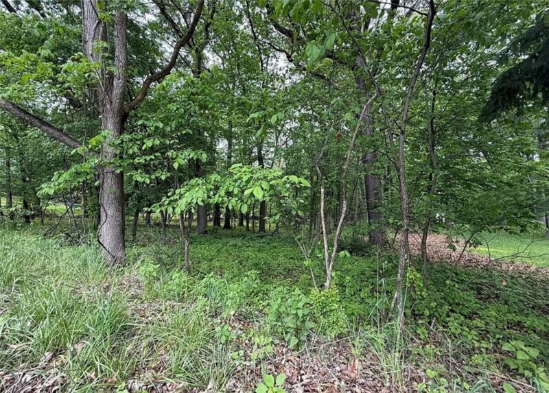 747 Wexford Bayne Road — photo 5