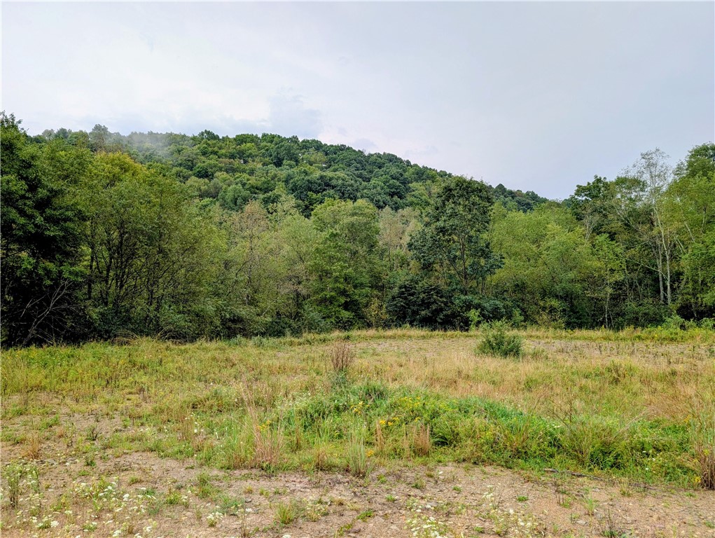 0 Little Rock Rd — photo 1