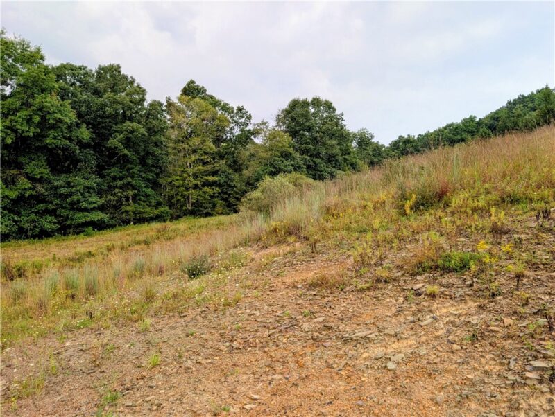0 Little Rock Rd — photo 5