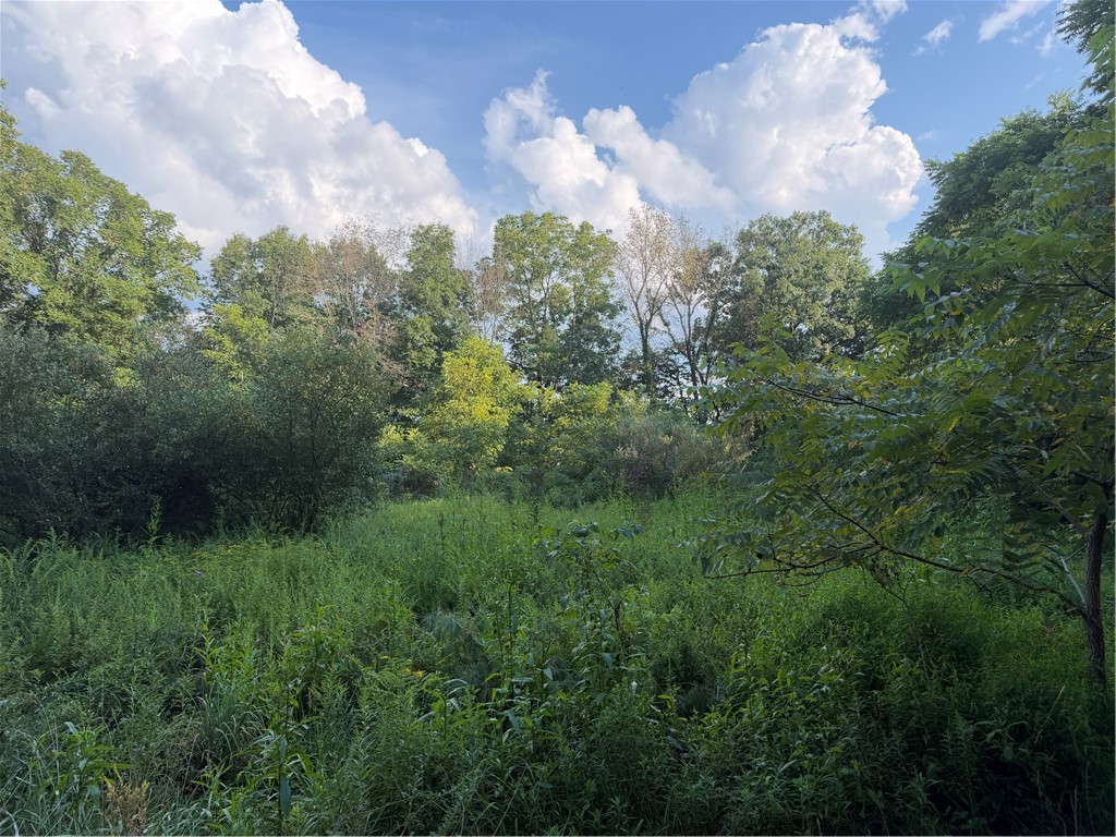621 Crooked Creek Dam Rd — photo 1