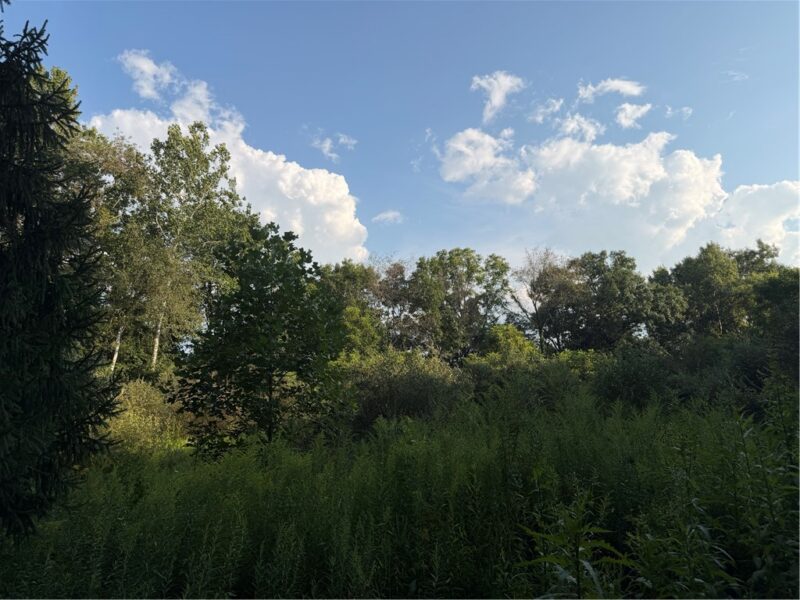 621 Crooked Creek Dam Rd — photo 2