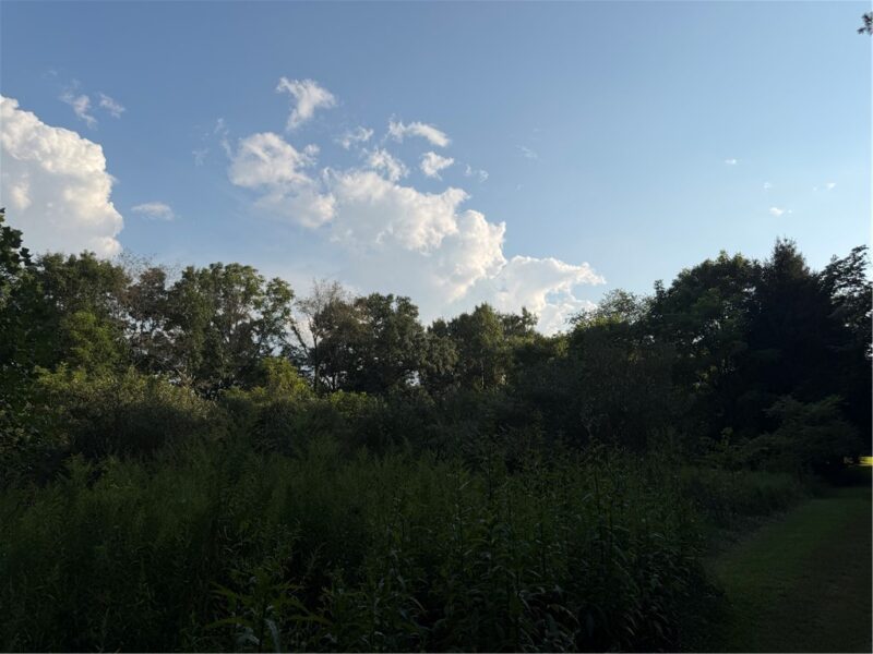 621 Crooked Creek Dam Rd — photo 3