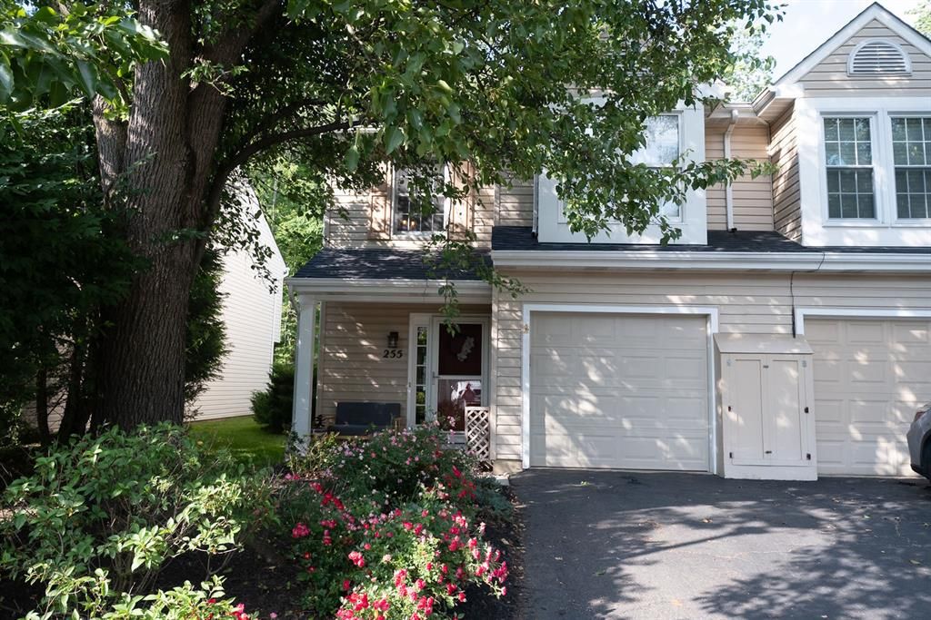 255 Commons — photo 1
