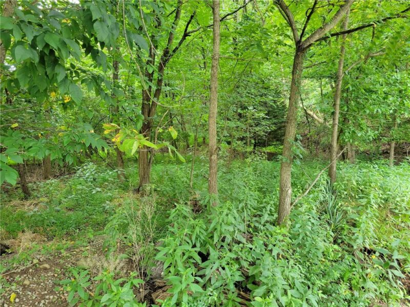 Lot 5 and 5A Brookmere Drive — photo 2