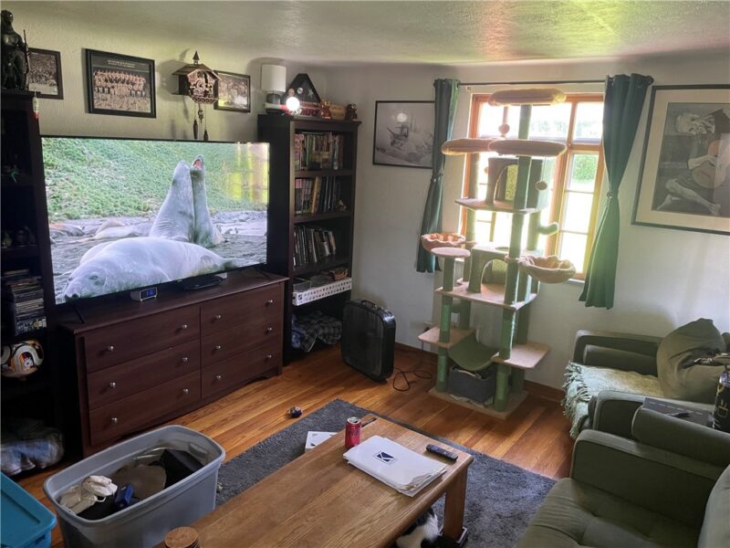 81 Scenery Blvd — photo 4