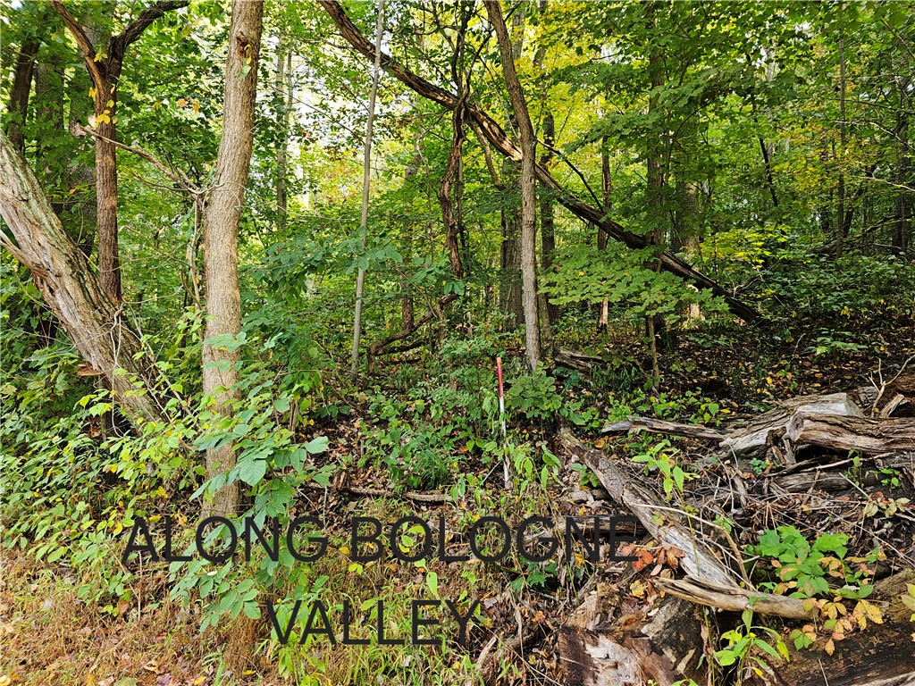 0 BOLOGNE VALLEY ROAD — photo 1