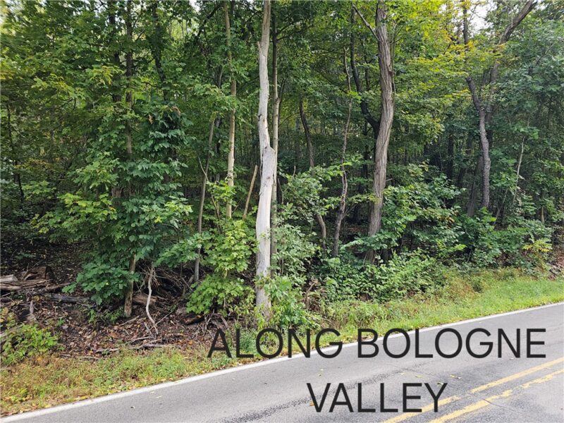 0 BOLOGNE VALLEY ROAD — photo 5