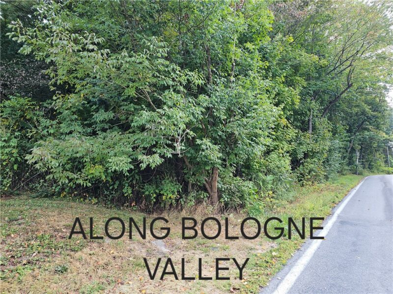 0 BOLOGNE VALLEY ROAD — photo 6
