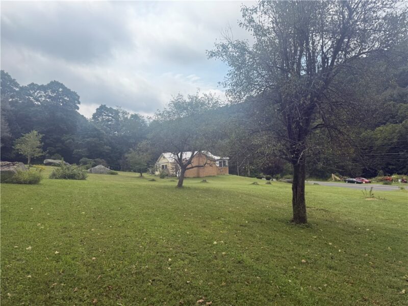 15003 Route 259 Hwy — photo 4