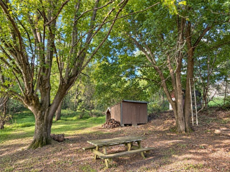 410 Cowan Dr — photo 3