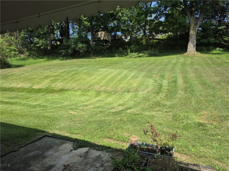 10877 Old Trail Rd — photo 5