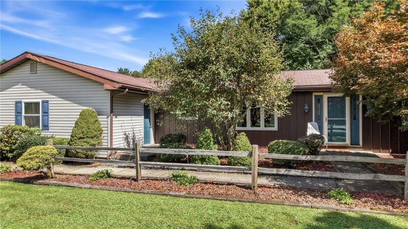 3 Williamson Road — photo 3